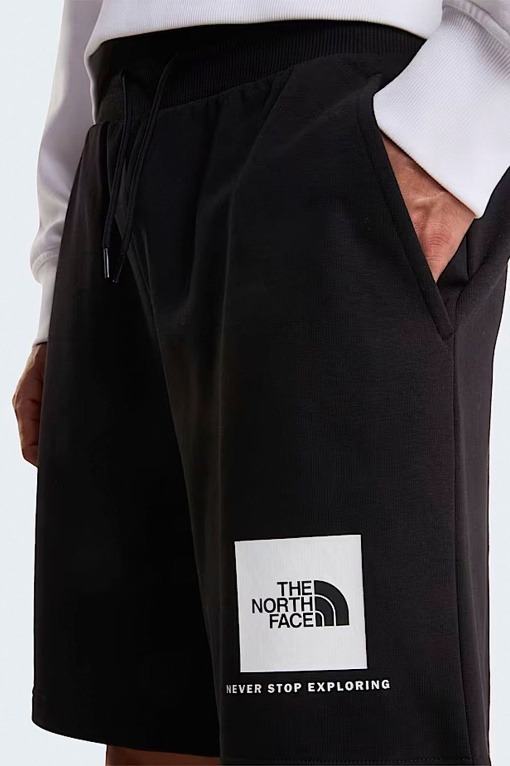 THE NORTH FACE - BOX NSE LIGHT REGULAR SHORTS