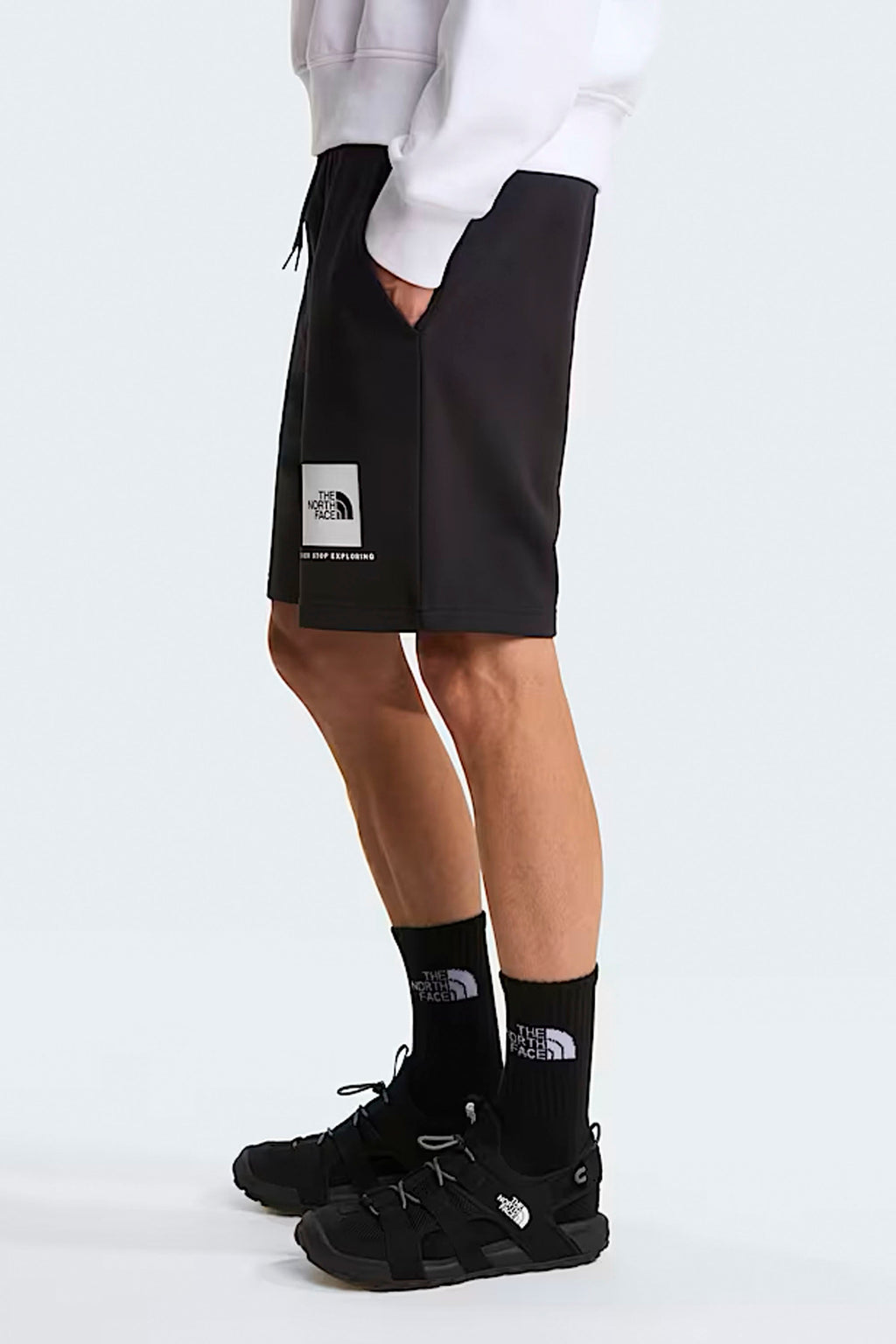 THE NORTH FACE - BOX NSE LIGHT REGULAR SHORTS
